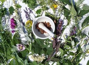 osteokondrosiaren tratamendurako belarrak